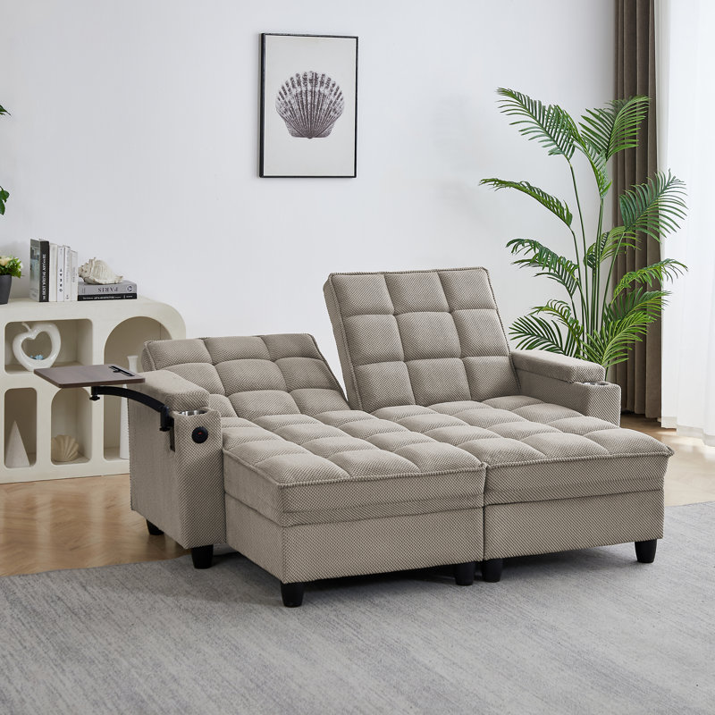 Multifunctional Sofas With Storage, Wood Frame Modern Sleeper For Home