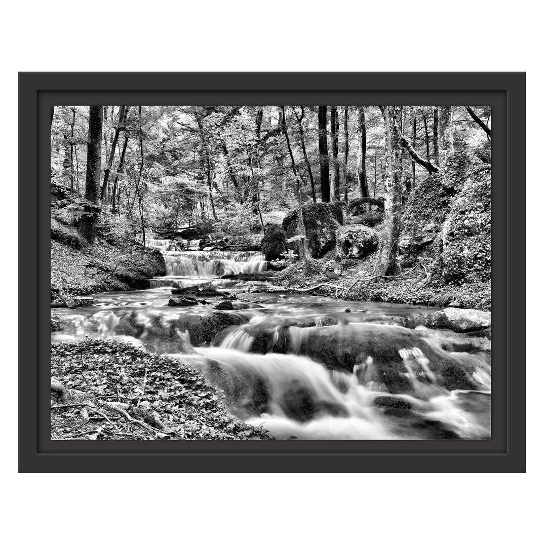 Gerahmter Grafikdruck Forest Stream in Autumn