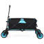 Berau Transport Trolley