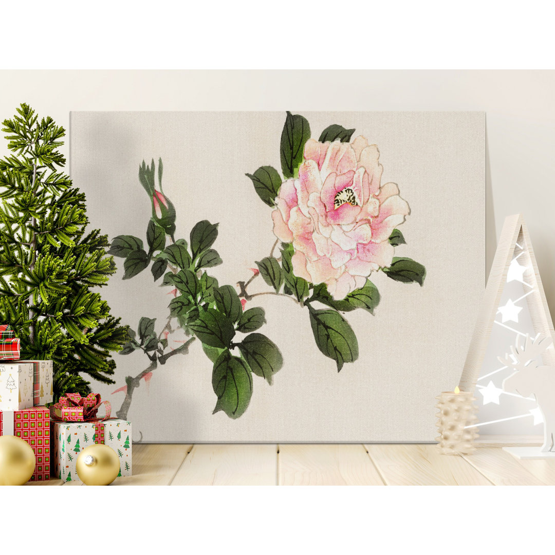 Japanese Peony Floral Botanical Canvas Print