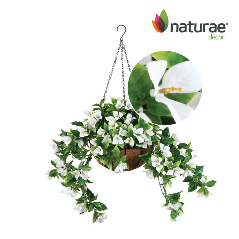 White Bougainvillea Hanging Planter