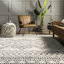 Southwestern Area Rug-1688545788
