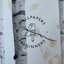 Cestaric Birchwood Wallpaper