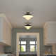 Robin Single Light Glass Semi Flush Mount