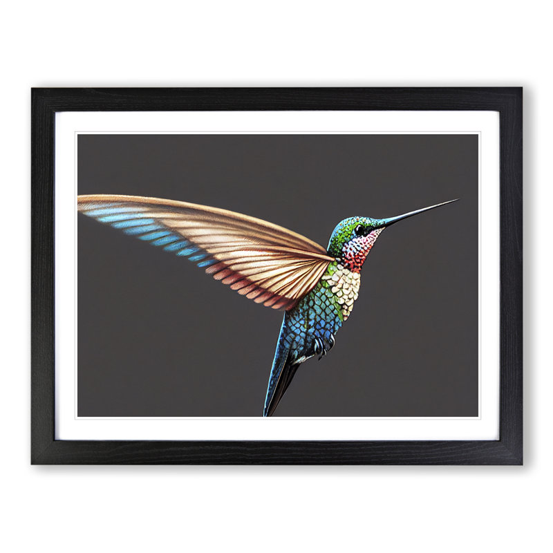 XH1022-7653X Seductive Hummingbird - Single Picture Frame Print, Black , 25cm H x 34cm W x 2cm D