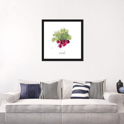 Sketch Kitchen Radish by Sally Swatland - Painting Print