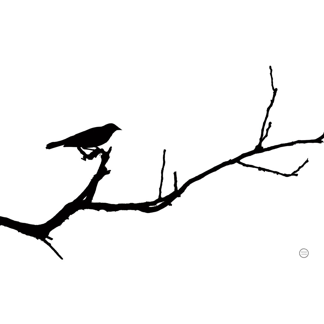 Leinwandbild Bird Silhouette von Nathan Larson