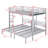Bunk Bed With Built-In Shelf-1150345449