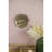 Succulent Wall Plaque