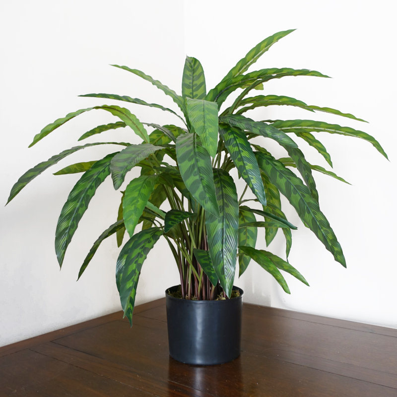 Artificial Foliage Plant in Pot Liner, 90 cm x 70 cm