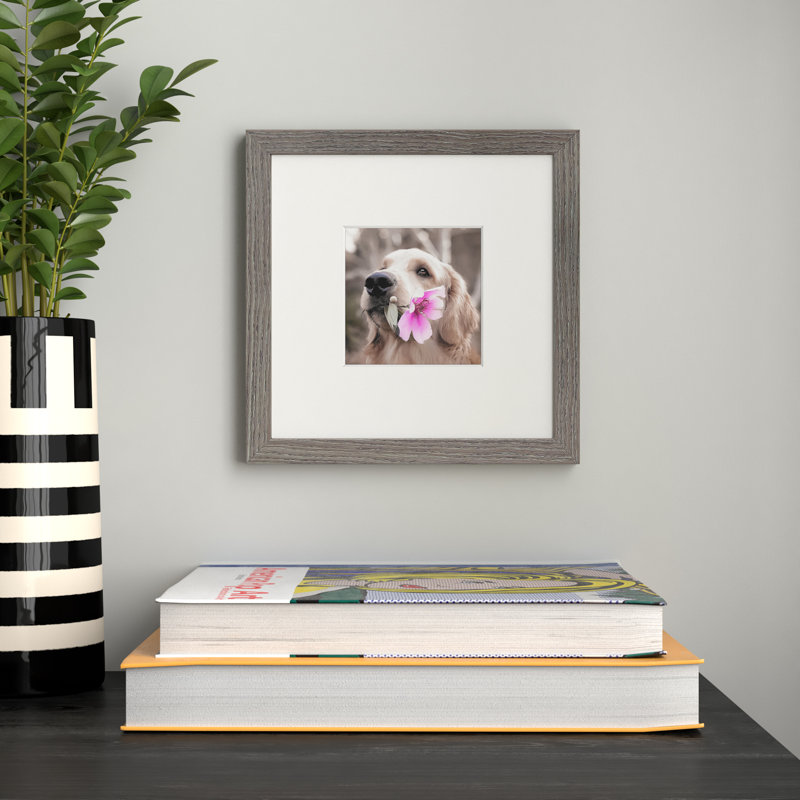 Cadre photo Nickolas Classic avec passe-partout ivoire, Gris, 8 po x 8 po