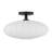 Mason 1-Light Ceiling Light in Matte Black-1068367304