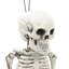 Lampkins Halloween Decorative Accent