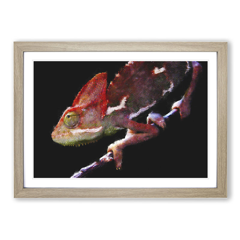 Chameleon Lizard Vol.2 - Framed Print, 27cm H x 36cm W x 2cm D, Oak Framed
