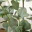 Saffina Faux Tree-1777413412