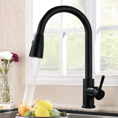 Belfry Kitchen Passaic Kitchen Faucet