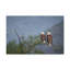 No Frame Print on Canvas-1173409015