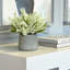 Ferdinand Heather en pot-28784521