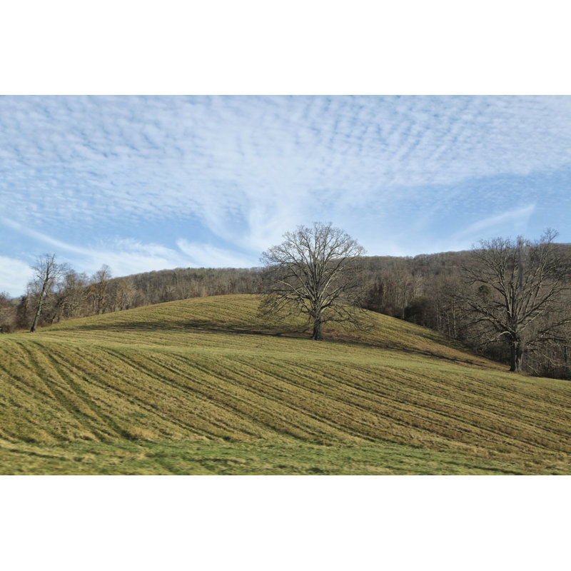 Bucolic Scene X - Wrapped Canvas Print, 30cm H x 46cm W x 3.8cm D