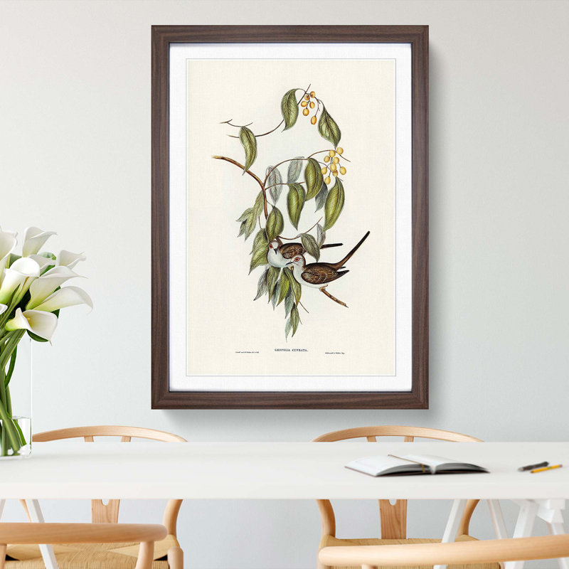 Graceful Ground Doves by Elizabeth Gould - Picture Frame Graphic Art Print, 48cm H x 36cm W x 2cm D, Walnut Framed