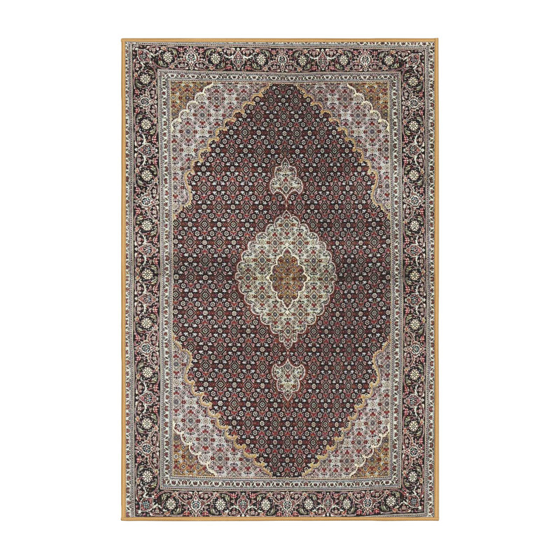 Coombes Oriental Indoor Rug, Rectangle 4' x 6'