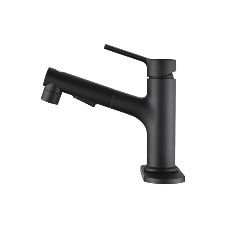 Robinet de salle de bain noir mat à poignée simple avec douchette extractible et trop-plein, plaque de lavabo de style tendance, noir, aspect épuré