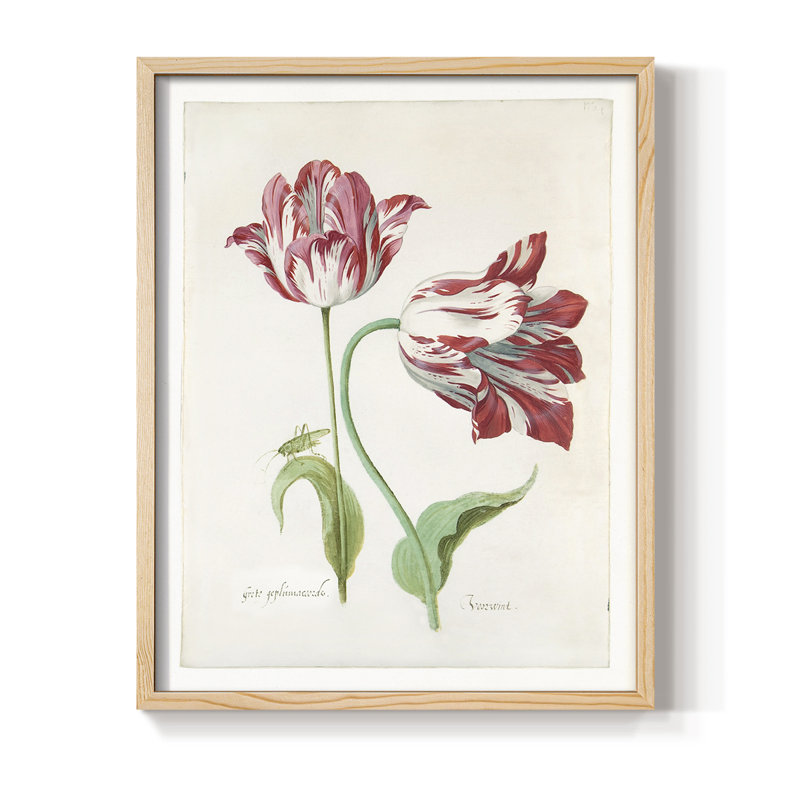 Deux tulipes II, reproduction encadrée - bois massif, Naturel, H 21 po x l 17 po