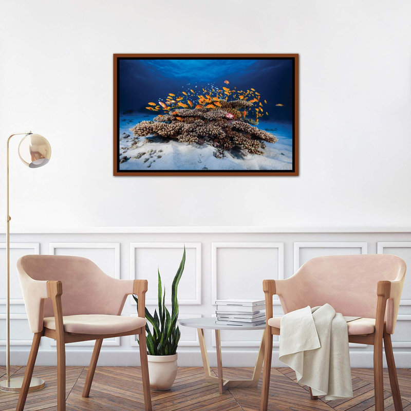 «Marine Life» - reproduction, H 26 po x l 40 po x 1,5 po, Toile avec cadre en bois classique, Pas de tapis