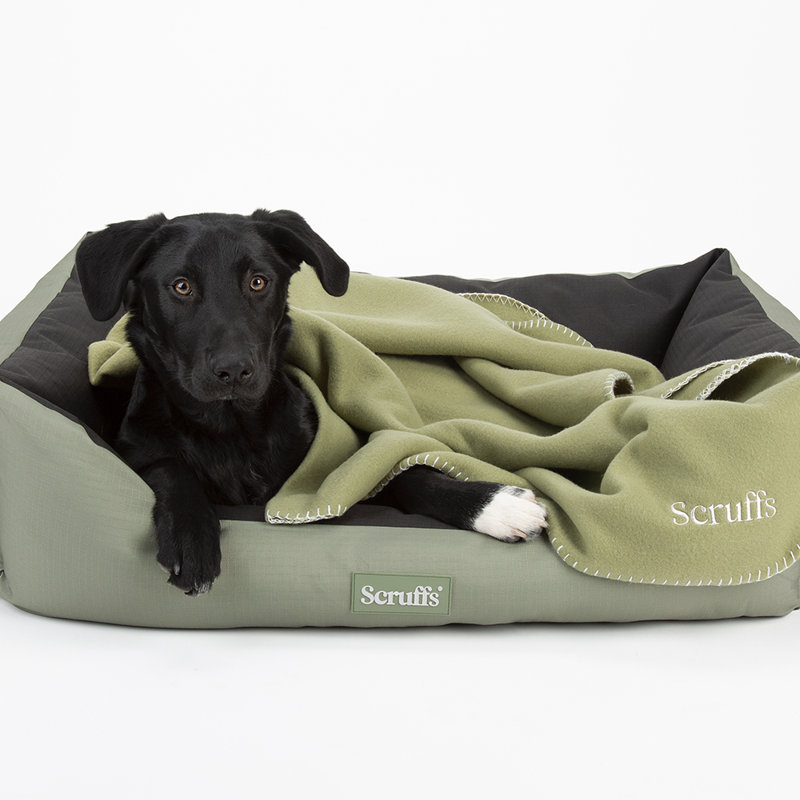 Polyester Pet Bed, 20cm H x 50cm W x 60cm D, Khaki Green