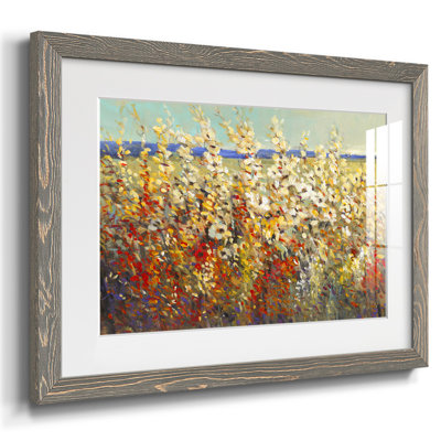 " Field Of Spring Flowers II "