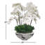 Plusieurs tiges d'orchidée phalaenopsis en pot de fleurs-1754035999