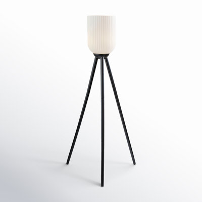 Lapka 57.5'' Tripod Floor Lamp