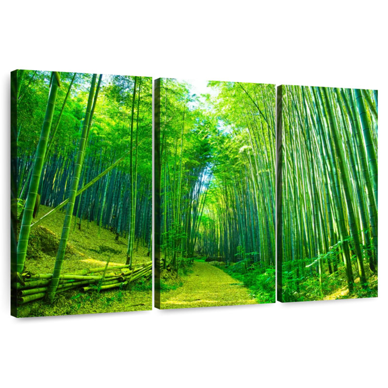 Alvord Green Bamboo Pathway, 36" H x 57" W