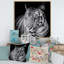 Impression monochrome sur toile, Portrait monochrome d'un tigre blanc VI-66801246-66801254