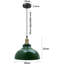 1 - Light Dome Pendant-1003170878