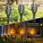 Halloween Solar Outdoor Lights with Flickering Flame Light Pack