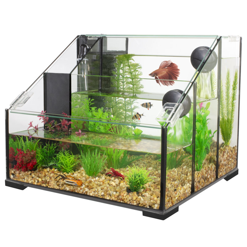 Shimizu Rectangle Aquarium Tank