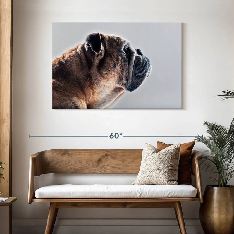 Brampt Dog Side Profile, 30" H x 45" W
