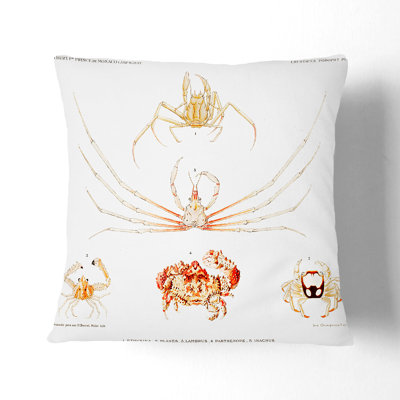 Square Throw Cushion