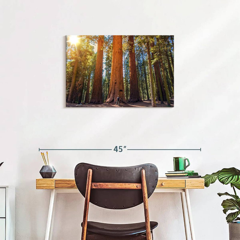 Harnek Giant Sequoia Trees, 20" H x 30" W
