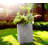 Planter-233710364-169871258