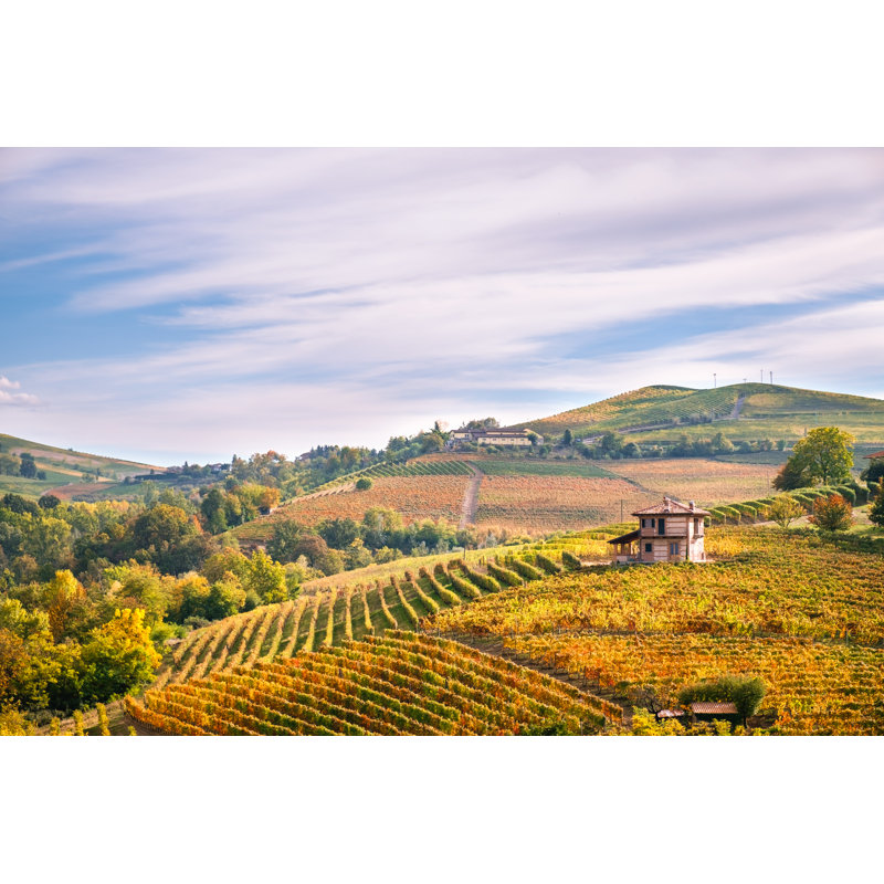 Langhe Wineyards Hills - Wrapped Canvas Print, 30cm H x 46cm W x 3.8cm D