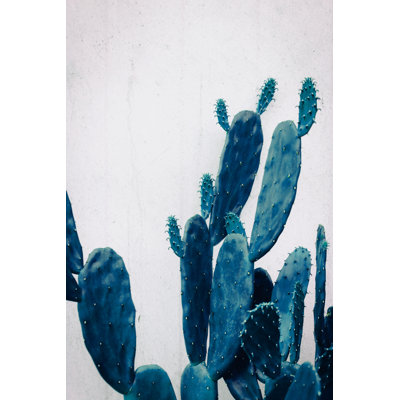 Cactus Colorful 1 Piece Wrapped Canvas Wall Art