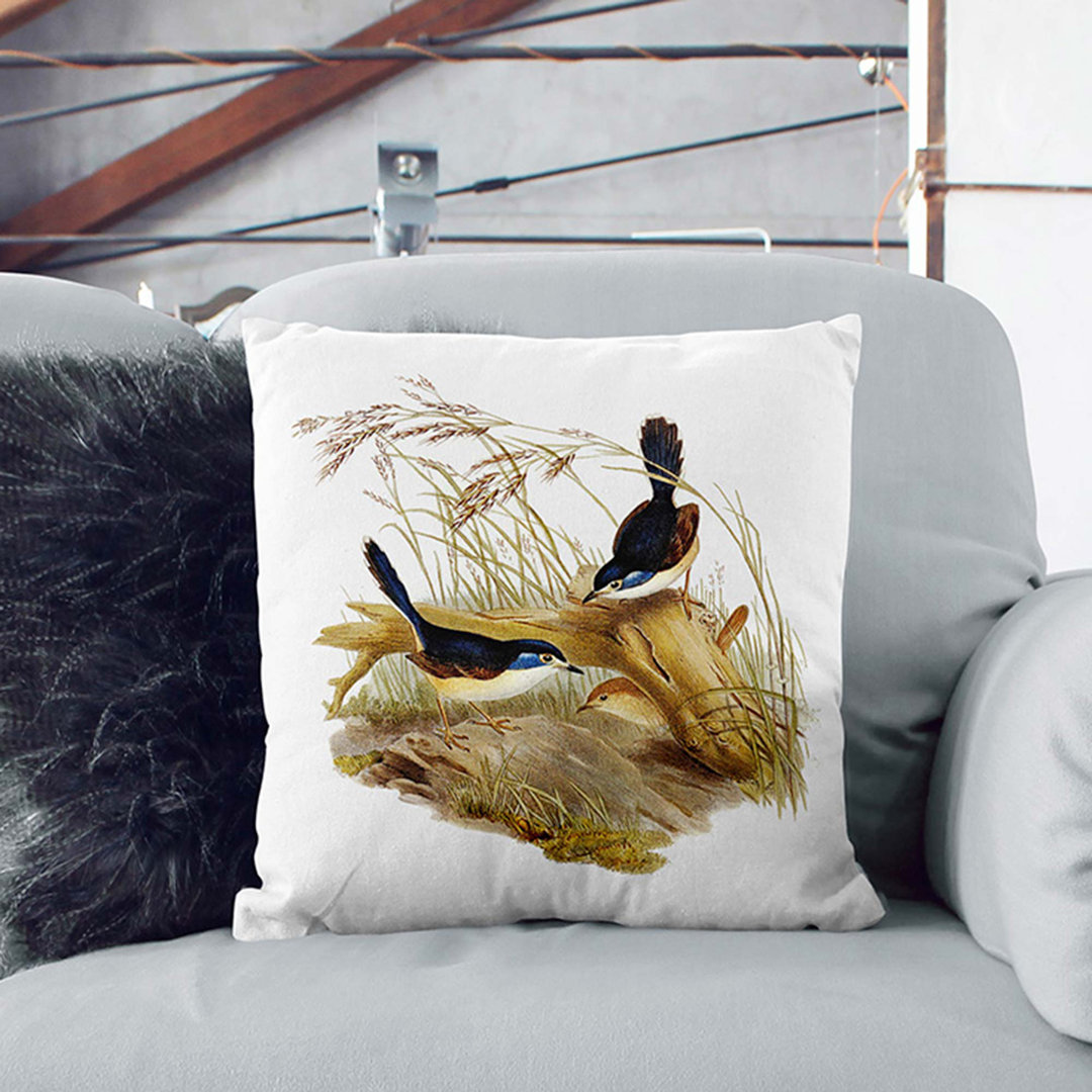 Fawn-Breasted Superb Warblers by Elizabeth Gould Cushion with Filling