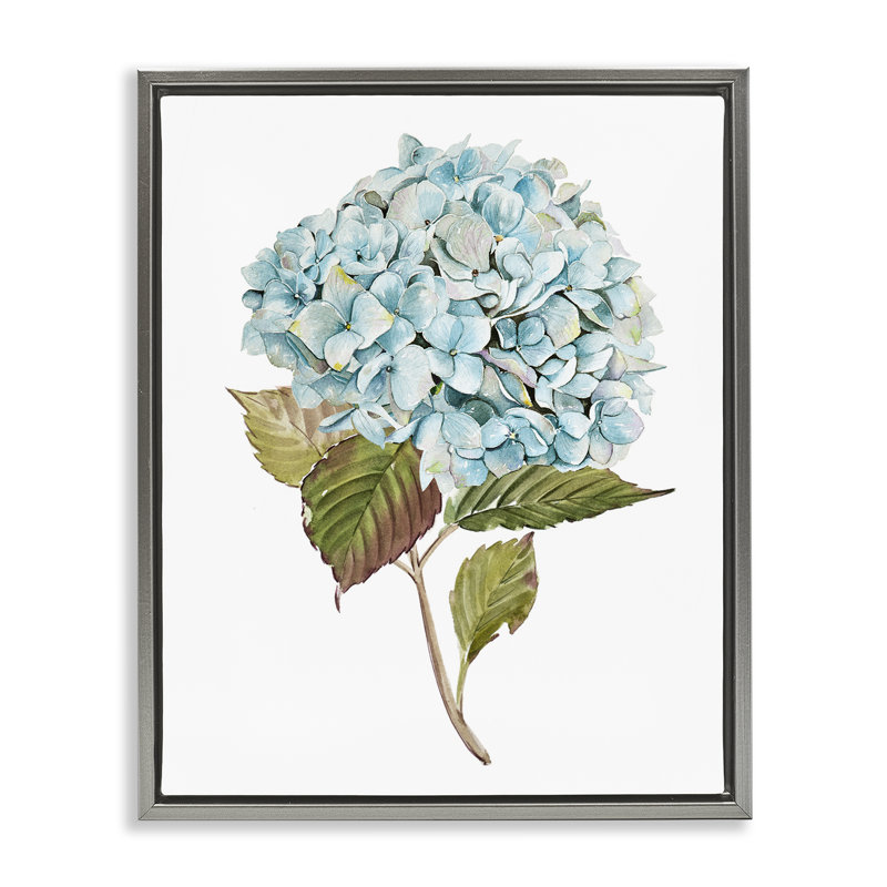 «Simple Hydrangea Bud» par Enya Todd, Cadre flottant gris lustré, H 21 po x l 17 po