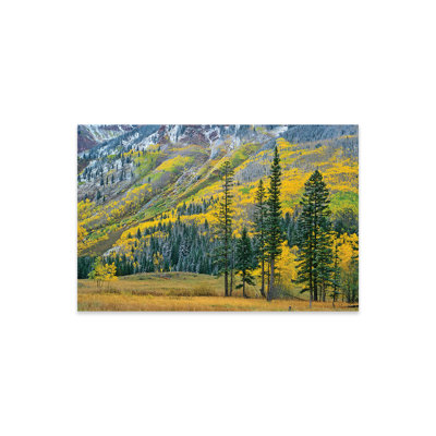 Quake Aspen Grove in Fall Colors, Maroon Bells, Snowmass Wilderness, Colorado II sur plastique / acrylique par Tim Fitzharris