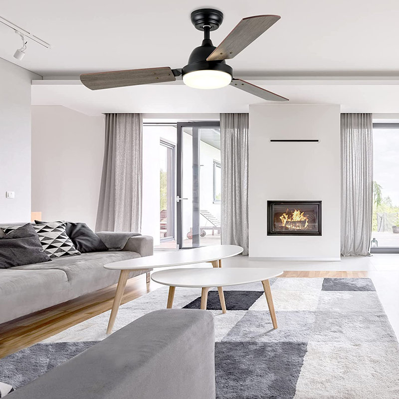 Alyzza Ceiling Fan with LED Lights