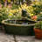 Hyman Frog Contemporary Green Ceramic Solar Water Fountain