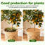 4 anneaux de paillis en fibre de noix de coco 4 pièces, tapis de protection en coco naturel de 30 cm pour les plantes d'intérieur / extérieur et l'aménagement paysager