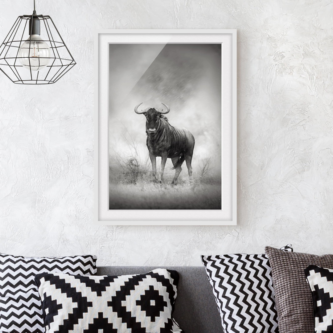 Gerahmtes Poster Gazing wildebeest